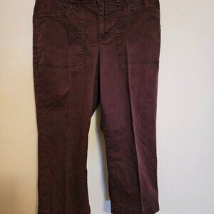 Gloria Vanderbilt Brown Chino Capri Pant